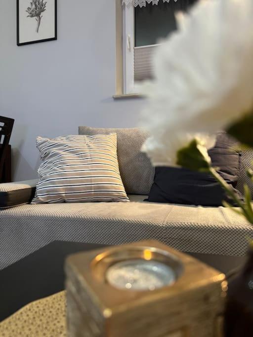 Danka 6Th Floor Chic Apartment Krakow Dış mekan fotoğraf